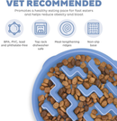 Outward Hound Fun Feeder Slo Bowl Slow Feeder Dog Bowl, Blue-3