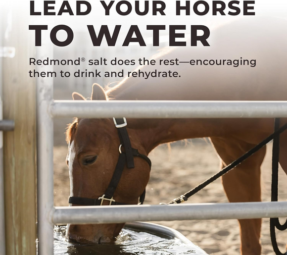 Redmond Daily Red Crushed Loose Mineral Salt For Horses