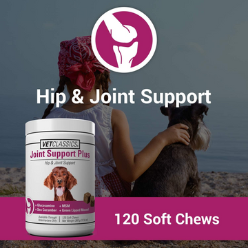 Vet Classics Joint Support Plus for Dogs (120 Soft Chews) - 0