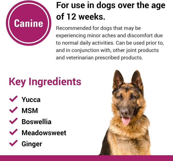 Vet Classics Pain Plus Extra Strength for Dogs (120 Chew Tabs)