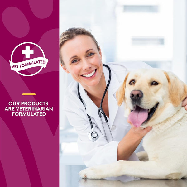 NaturVet Glucosamine DS Level 1 with Chondroitin Maintenance Joint Care Chewable Tablets for Dogs & Cats