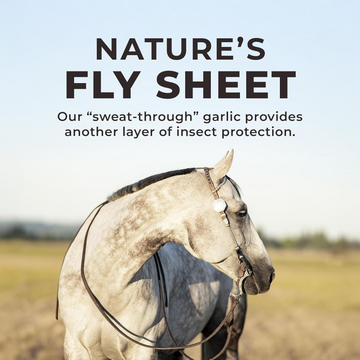 Redmond Rock Crushed Loose Mineral Salt with Garlic for Fly, Tick & Insect Season (5 lb) - 0