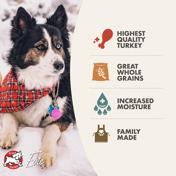 Dog wearing a plaid shirt with a brand logo, sitting in snow, and text about dog food ingredients.