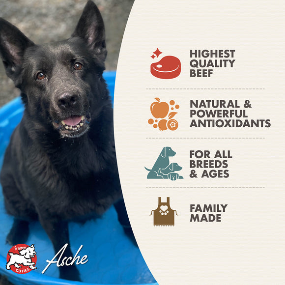 Black dog sitting on a blue mat with Aline pet food brand information on the side.