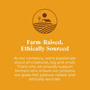 Otis Wild Things Trainers Venison Recipe Treats for Dogs