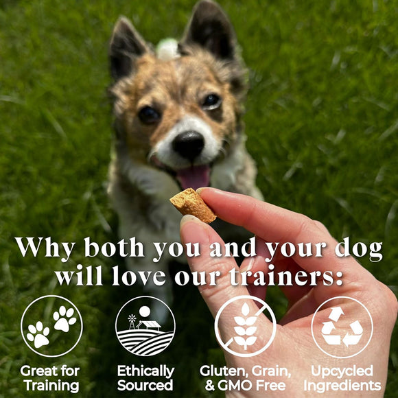 Otis Wild Things Trainers Venison Recipe Treats for Dogs