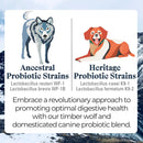Otis Wild Things Digestive Health Ancestral Probiotics for Dogs