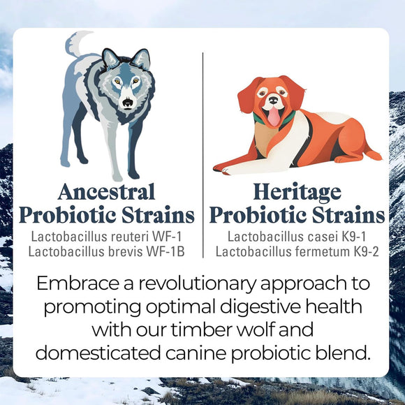 Otis Wild Things Digestive Health Ancestral Probiotics for Dogs