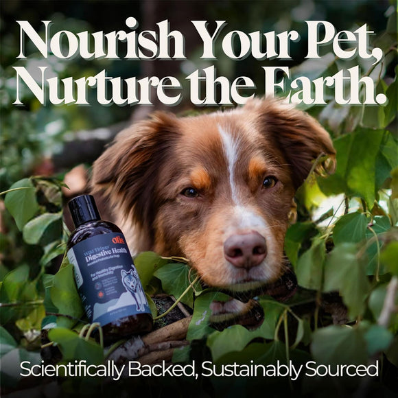 Otis Wild Things Digestive Health Ancestral Probiotics for Dogs