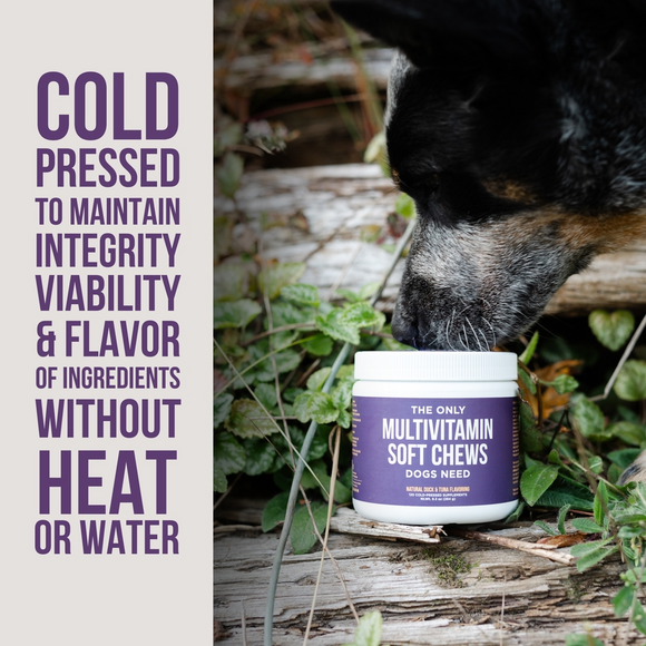 Natural Rapport The Only Multivitamin Soft Chews Dogs Need