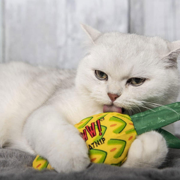 Yeowww! Catnip Pineapple Cat Toy 