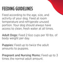 Feeding guidelines for dogs displayed on a white background with a red accent.