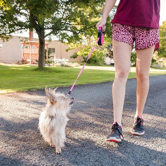 Wigzi Gel Handle Reflective Tape Retractable Dog Leash