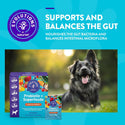 Evolutions by NaturVet Probiotic Superfoods Digestive Powder for Dogs