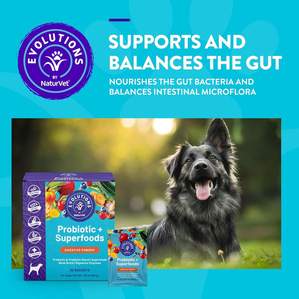 Evolutions by NaturVet Probiotic Superfoods Digestive Powder for Dogs