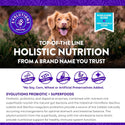 Evolutions by NaturVet Probiotic Superfoods Digestive Powder for Dogs