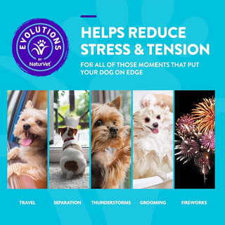 Evolutions by NaturVet Advanced Calming Mood Support Soft Chews for Dogs