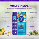 Evolutions by NaturVet Advanced Calming Mood Support Soft Chews for Dogs