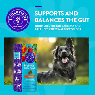 Evolutions by NaturVet Probiotic Superfoods Digestive Support Soft Chews for Dogs