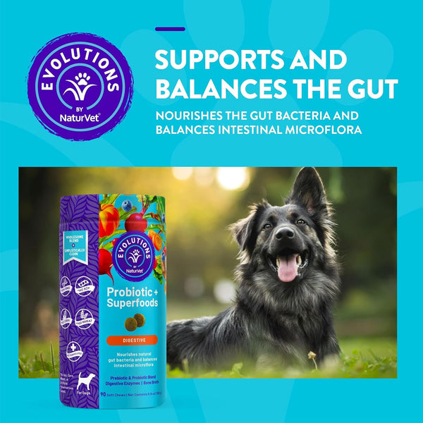 Evolutions by NaturVet Probiotic Superfoods Digestive Support Soft Chews for Dogs