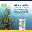 NaturVet Proden PlaqueOff Soft Chews for Large & Giant Breed Dogs