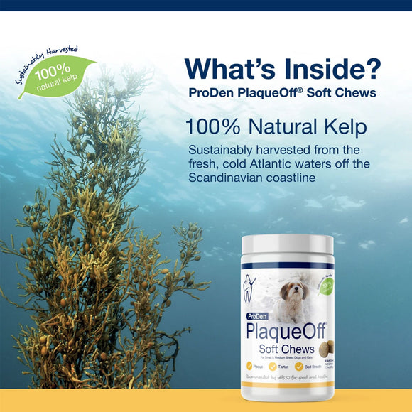 NaturVet Proden PlaqueOff Soft Chews for Small & Medium Breed Dogs & Cats