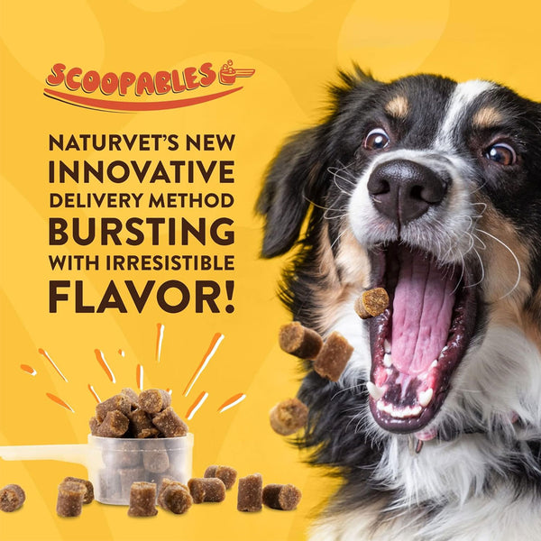 NaturVet Scoopables No Scoot Anal Gland Support Plus Pumpkins For Dogs