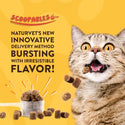 NaturVet Hairball Aid Daily Support Scoopables Plus Pumpkin for Cats