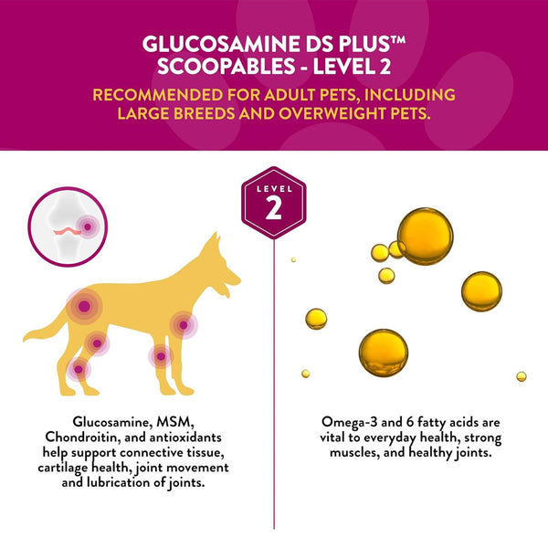 NaturVet Scoopables Glucosamine DS Plus Level 2 Plus Omega-3 & 6 Fatty Acids for Dogs