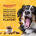 NaturVet Scoopables Quiet Moments Calming Aid Plus Melatonin For Dogs