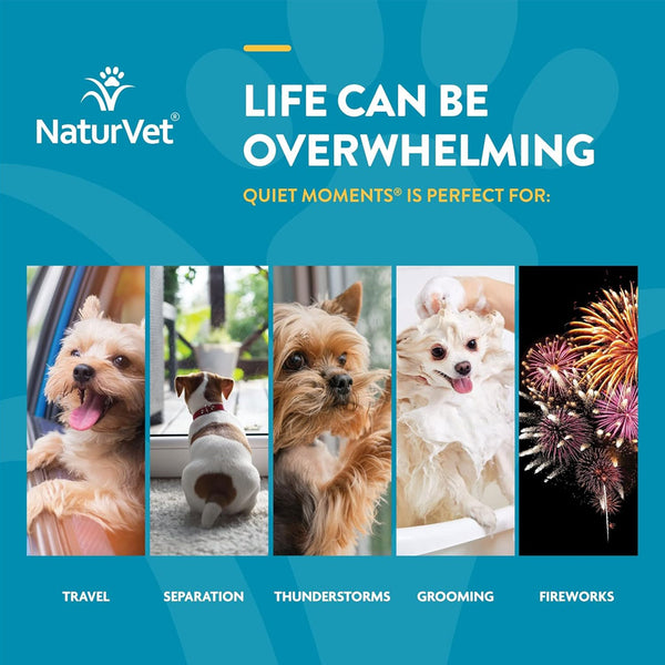 NaturVet Scoopables Quiet Moments Calming Aid Plus Melatonin For Dogs