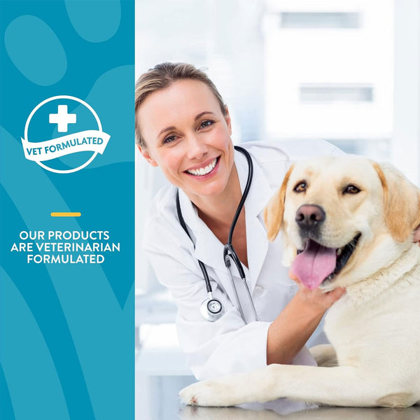 NaturVet Scoopables Quiet Moments Calming Aid Plus Melatonin For Dogs