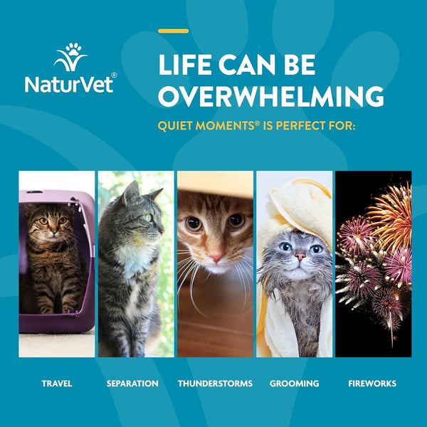 NaturVet Scoopables Quiet Moments Calming Aid Plus Melatonin For Cats