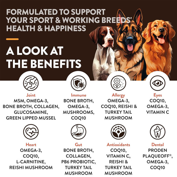 NaturVet Breed Specific Sport & Working Breeds Supplement Soft Chews for Dogs