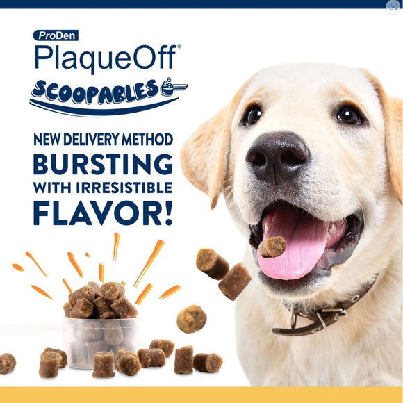 NaturVet ProDen PlaqueOff Scoopables Dental Treat for Large & Giant Breed