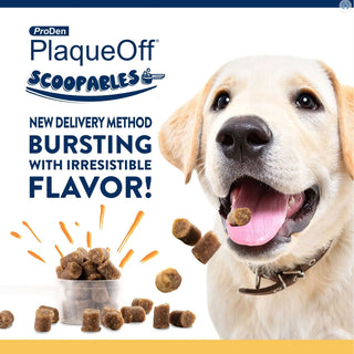 NaturVet ProDen PlaqueOff Scoopables Dental Treat for Large & Giant Breed