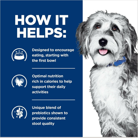 Hill's Prescription Diet ONC Care with Chicken Dry Dog Food