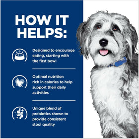 Hill's Prescription Diet ONC Care Chicken & Vegetable Stew Dog Food (12.5 oz x 12 cans) - 0