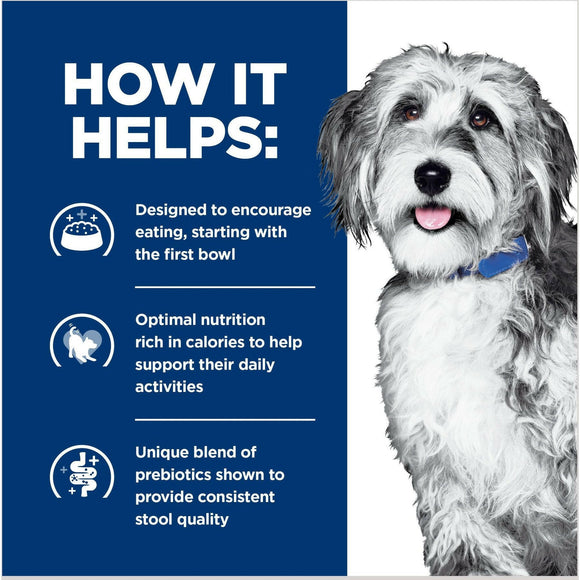 Hill's Prescription Diet ONC Care Chicken & Vegetable Stew Dog Food (12.5 oz x 12 cans)