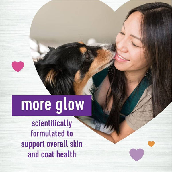 Wellness Shine Skin & Coat Supplement for Dogs (45 soft chews)