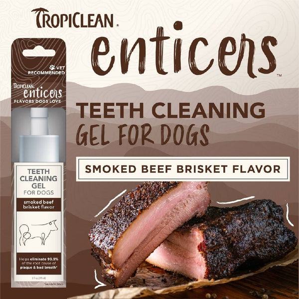 TropiClean Enticers Dental Cleaning Gel Smoked Brisket Dog (2 oz)