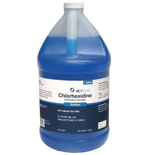 Chlorhexidine 2% Solution (gallon)