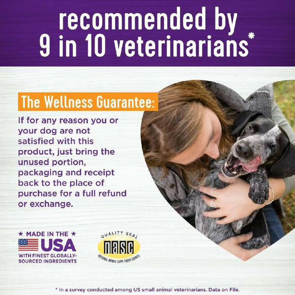 Wellness Shine Skin & Coat Supplement for Dogs (45 soft chews)