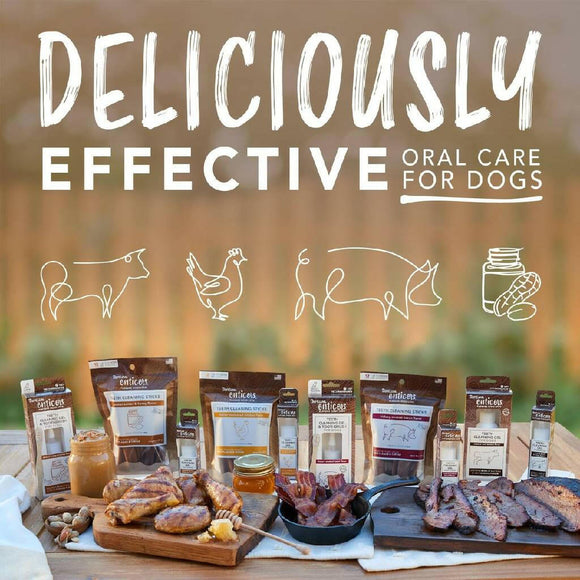 TropiClean Enticers Dental Cleaning Gel Smoked Brisket Dog (2 oz)