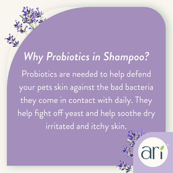 Health Extension Ari Probiotic Sensitive Skin Shampoo Lavender Plus Eucalyptus For Dogs