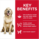 Hill's Science Diet Adult Perfect Weight Chicken Recipe Dry Dog Food-2