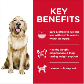 Hill's Science Diet Adult Perfect Weight Chicken Recipe Dry Dog Food - 0