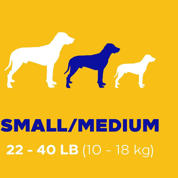 Pedigree Dentastix Small/Medium Original Chicken Flavor Dental Dog Treats small/medium size