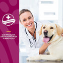 NaturVet Glucosamine DS Plus Level 2 Chewable Tablets with Chondroitin & MSM for Dogs & Cats