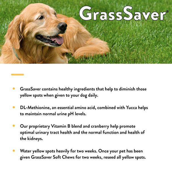 NaturVet GrassSaver Plus Enzymes Soft Chews for Dogs